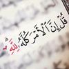 bitabdalazeem3