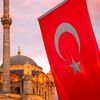 uzman224
