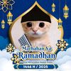 izzamikom