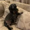 tomthechillguy