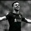 GermanULTRA_VFL🖤🤍💚