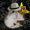 fynn_police
