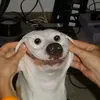 matuaparicio