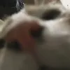 la_lulis7