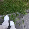 laura8384780