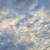 anonym_202223