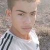 user33487536621657