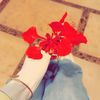 .retajeslam