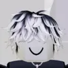 roblox_pajski