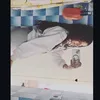 narjisrah1l