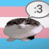 una_persona_random6593