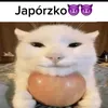 wxo0jn_