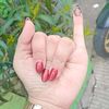hany4337