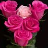 cristina_ramales0
