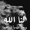 user4330115073457