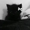 kocham_booki