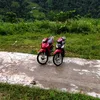 duongbii23hg