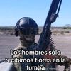 alexander_ff_h.a.i.r