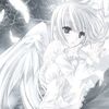 kiorawy_is