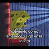 tutio621