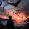 bnhminh64
