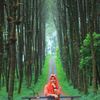 nurulfitri1457
