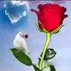 user5794140437922