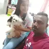 dhinesvdst