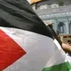 alibillal71