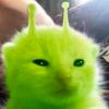 xxv1nc3ntx