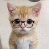 josue.ramirez207