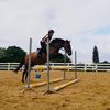 horse_queen5000