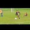 emanuell_2012_