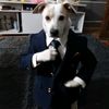 ahaz_576
