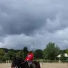 lynnarshat2