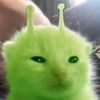 ositopke