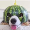 tinnguyenquang0