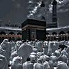 yahya.salama515
