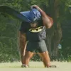 arronforp