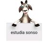curriculum_34