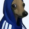 saltygang34