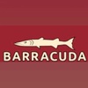 barracudas_fins