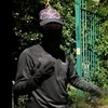 twson.1
