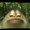 theromanianguy69