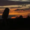 olaa_0829