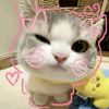 urfavrhyu