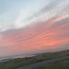 henrygoesfishing2
