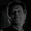 zainhaider2541