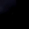 user_cat.11.13