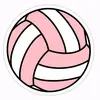 voleyball.is.life